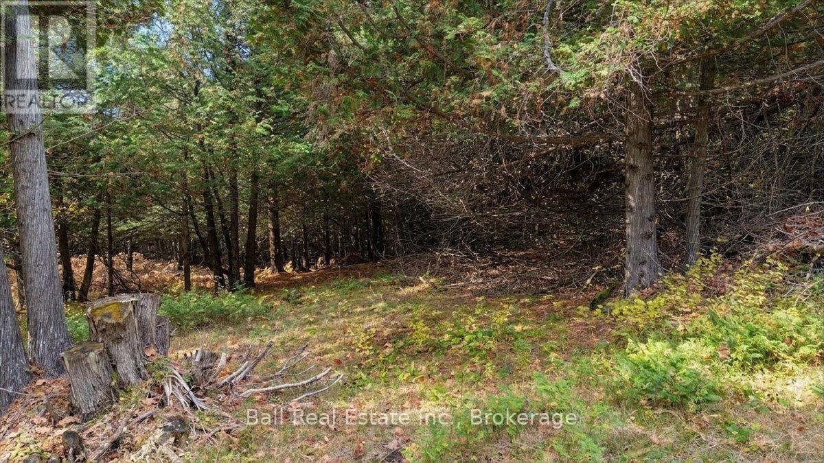 746 St Ola Road, Limerick, Ontario K0L 1W0 - Photo 11 - X14126204