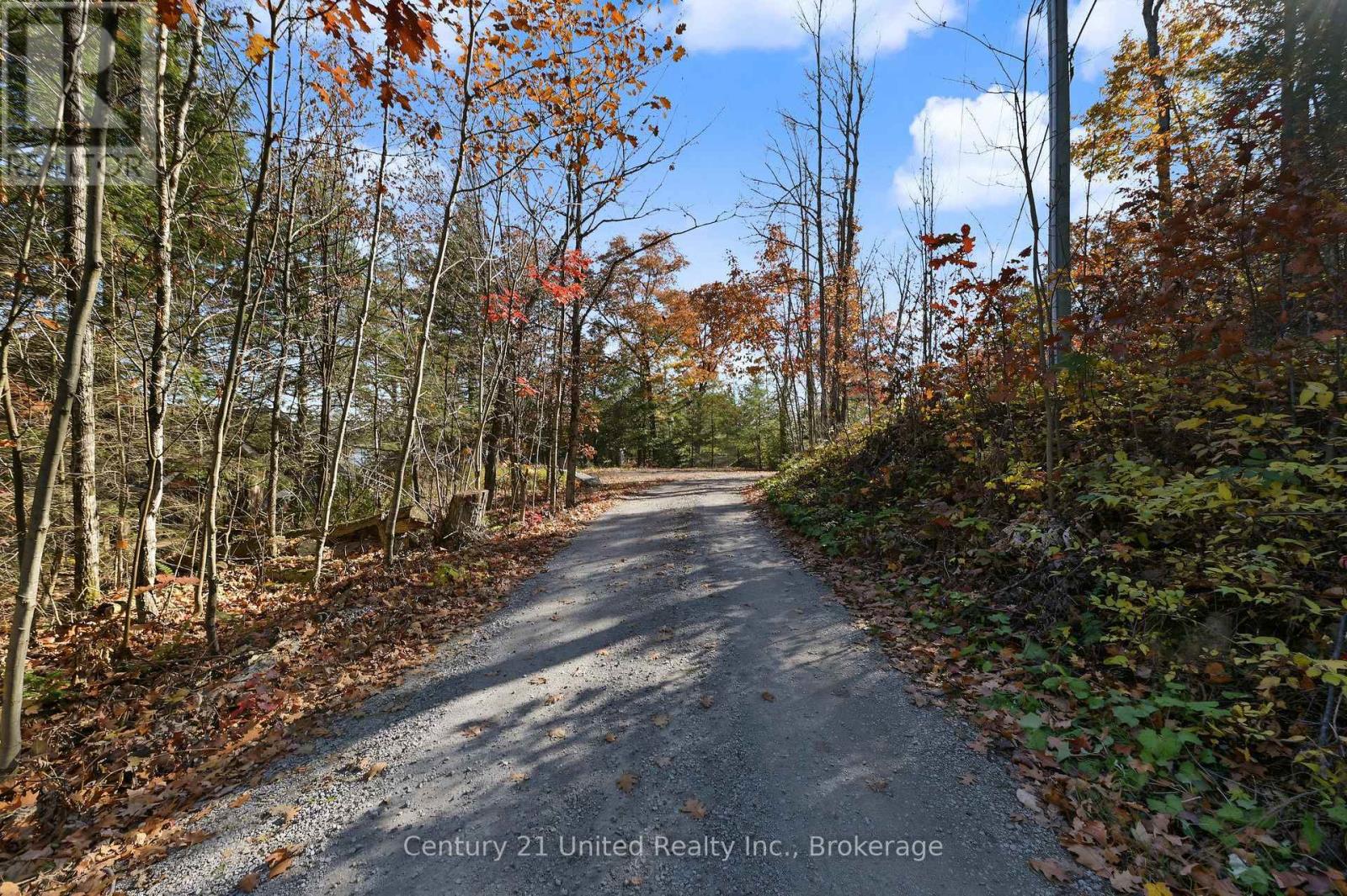 94 Fire Route 277, Trent Lakes, Ontario  K0L 1J0 - Photo 42 - X14127838