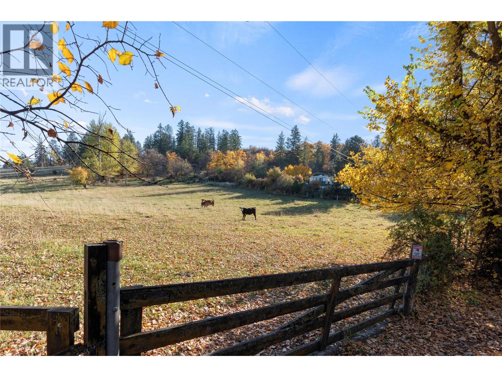 6709 Cosens Bay Road, Coldstream, British Columbia  V1B 1N7 - Photo 3 - 10400706