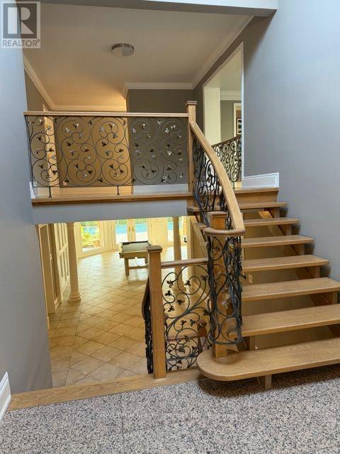 135 Hayhoe Avenue, Vaughan, Ontario  L4L 1S5 - Photo 20 - N14127932