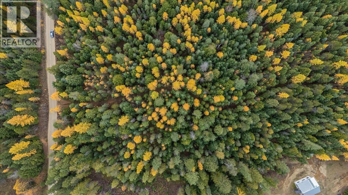 Claybrick Road Lot# 13, Winlaw, British Columbia  V0G 2J0 - Photo 8 - 10404591