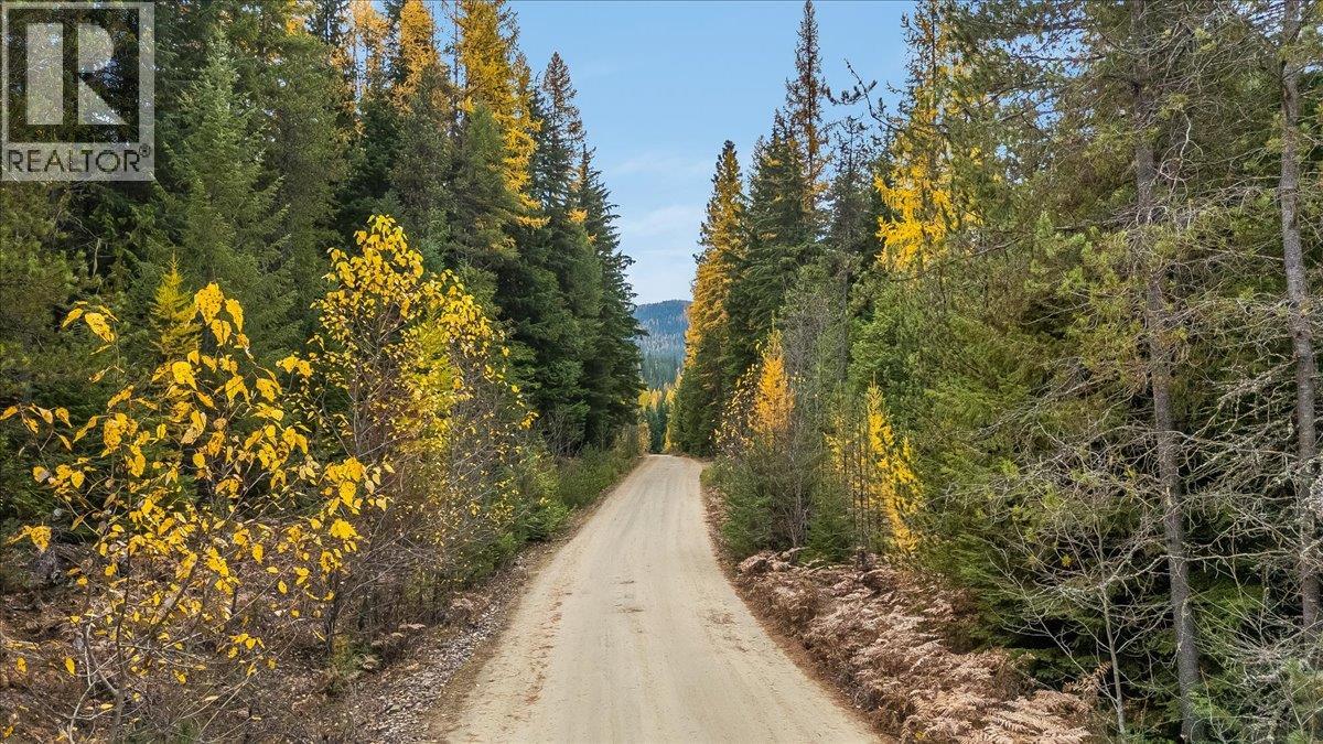 Claybrick Road Lot# 13, Winlaw, British Columbia  V0G 2J0 - Photo 2 - 10404591