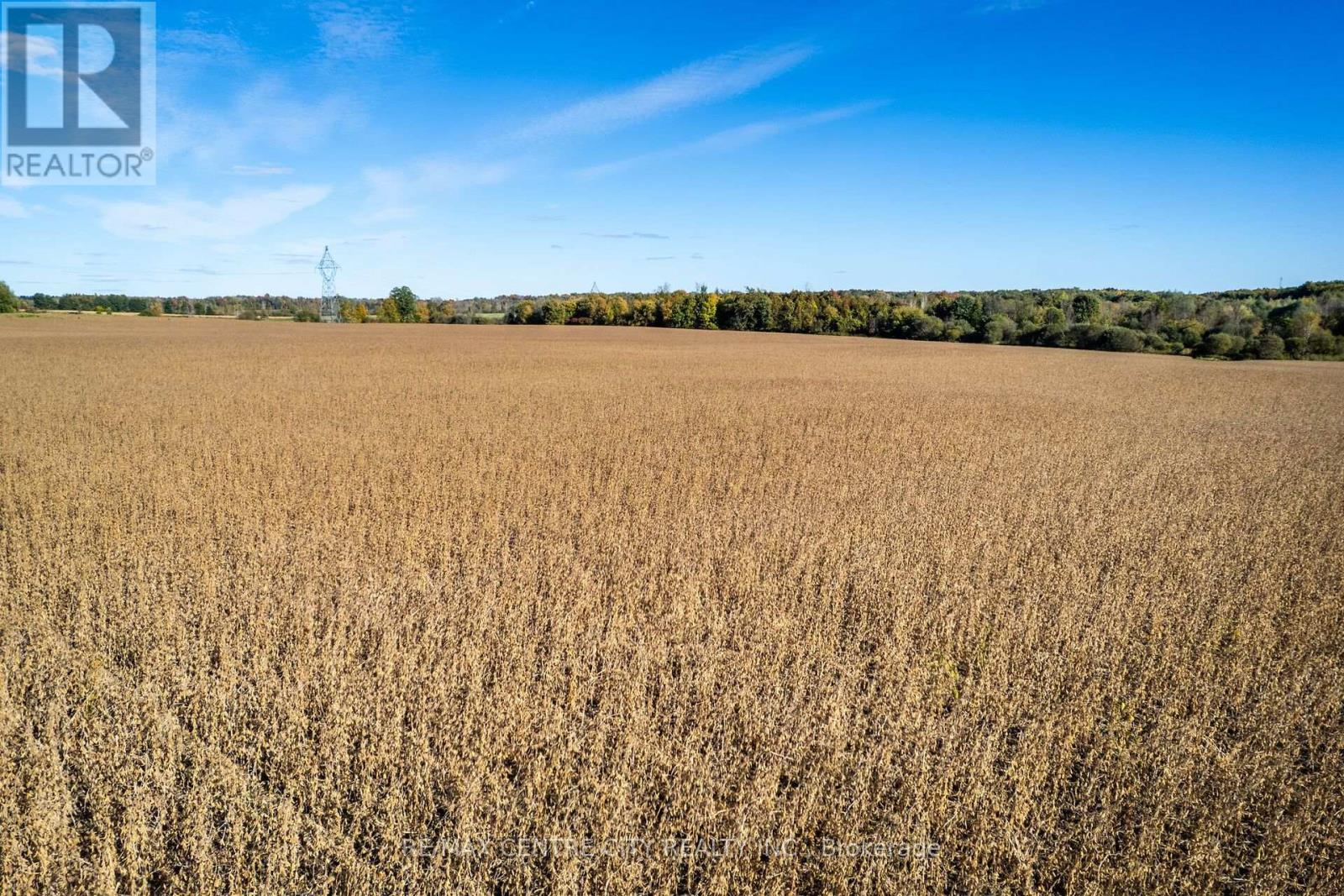 Pt Lt 38 Conc 7 County Road 18, South Stormont, Ontario  K0C 1R0 - Photo 7 - X14129250