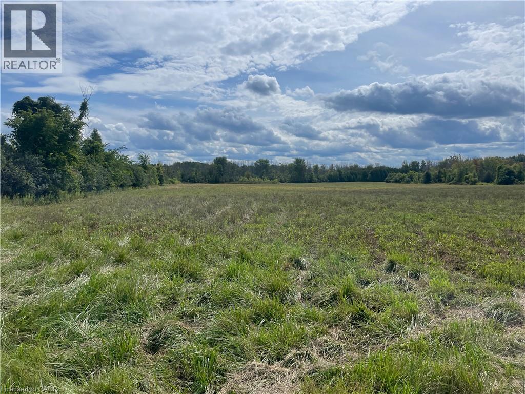 1661 Metro Road N, Keswick, Ontario  L0E 1S0 - Photo 11 - 40875027