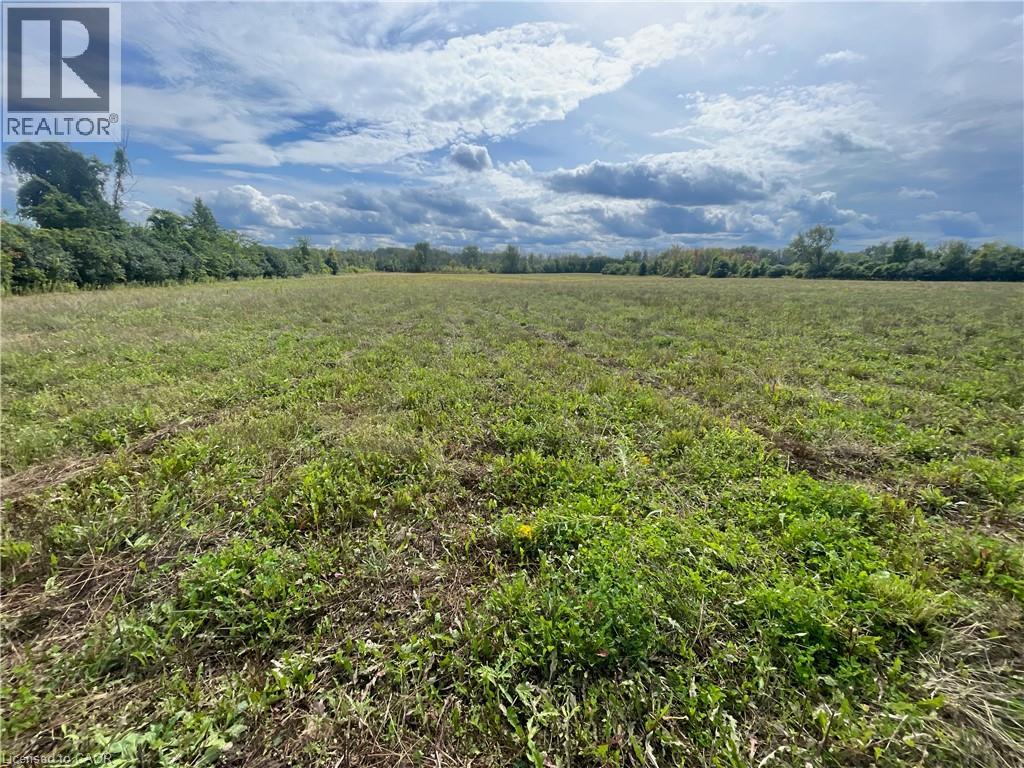 1661 Metro Road N, Keswick, Ontario  L0E 1S0 - Photo 6 - 40875027