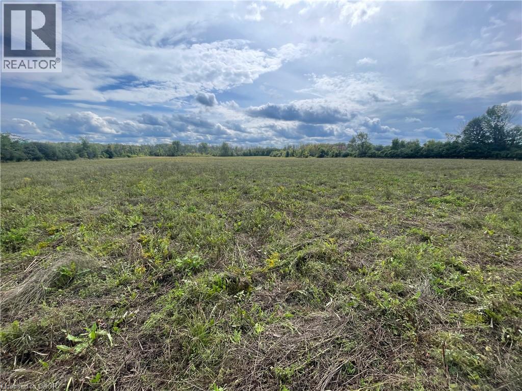 1661 Metro Road N, Keswick, Ontario  L0E 1S0 - Photo 9 - 40875027