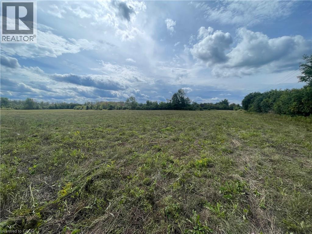 1661 Metro Road N, Keswick, Ontario  L0E 1S0 - Photo 5 - 40875027