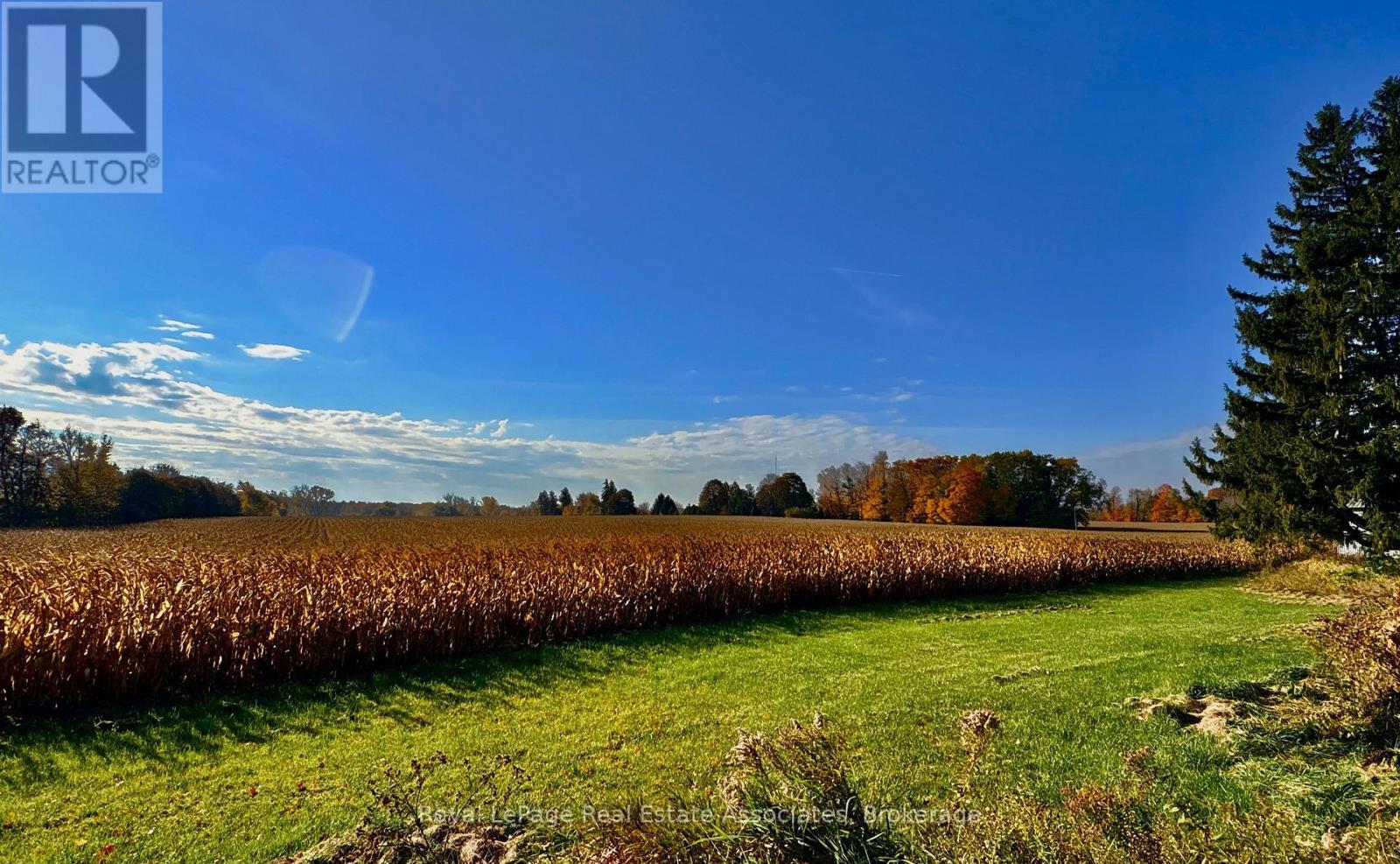 783 Highway 6 N, Hamilton, Ontario  L8N 2Z7 - Photo 6 - X13670416