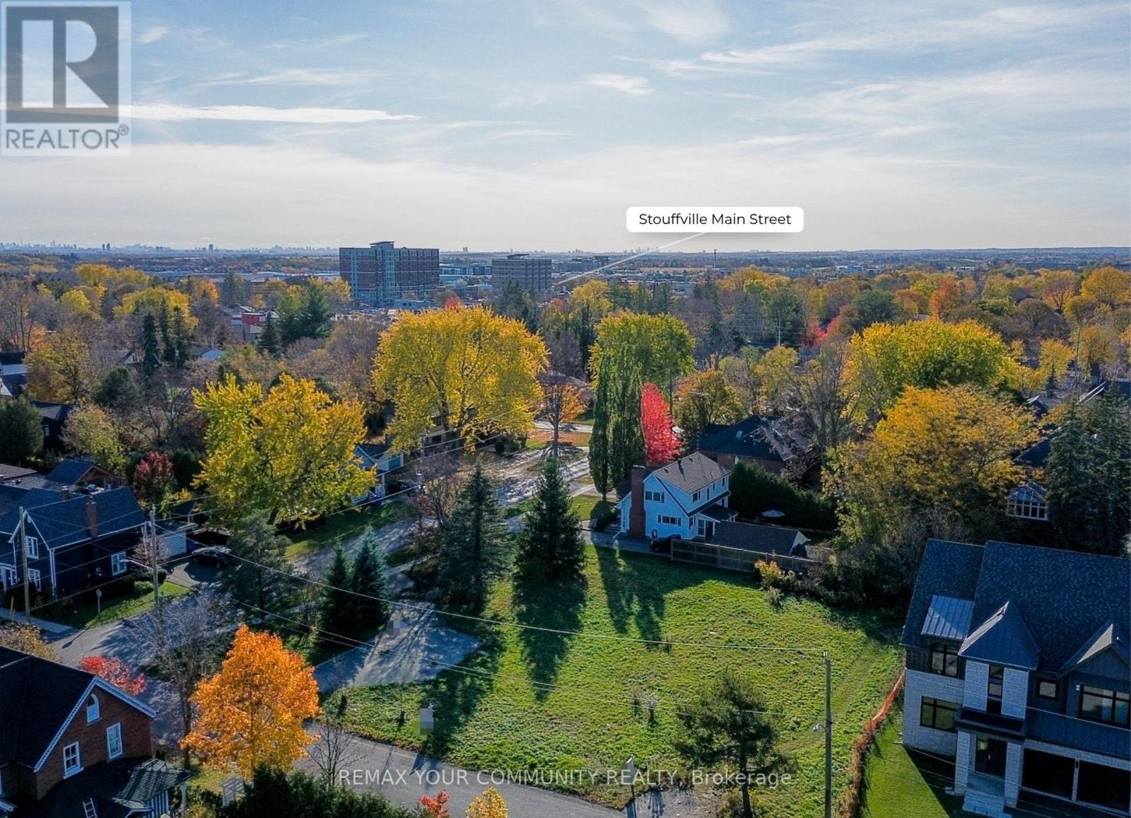 217 Harold Street, Whitchurch-Stouffville, Ontario  L4A 1B2 - Photo 3 - N14113042