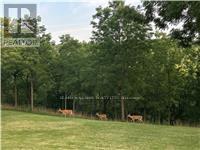 16 Elk Street, St. Catharines, Ontario  L2S 1A2 - Photo 43 - X13774016