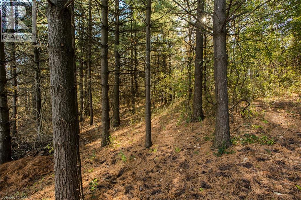 2215 Highway No 6, Puslinch, Ontario  N0B 2J0 - Photo 38 - 40874585