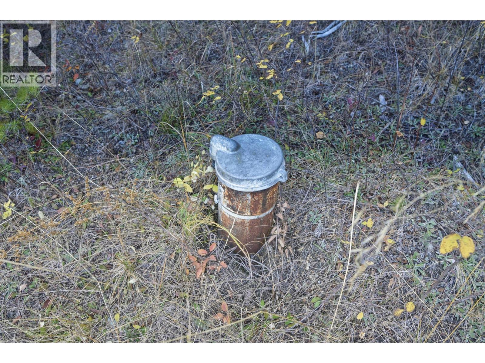 6211 Bugaboo Drive, Radium Hot Springs, British Columbia  V0A 1E0 - Photo 45 - 10403390