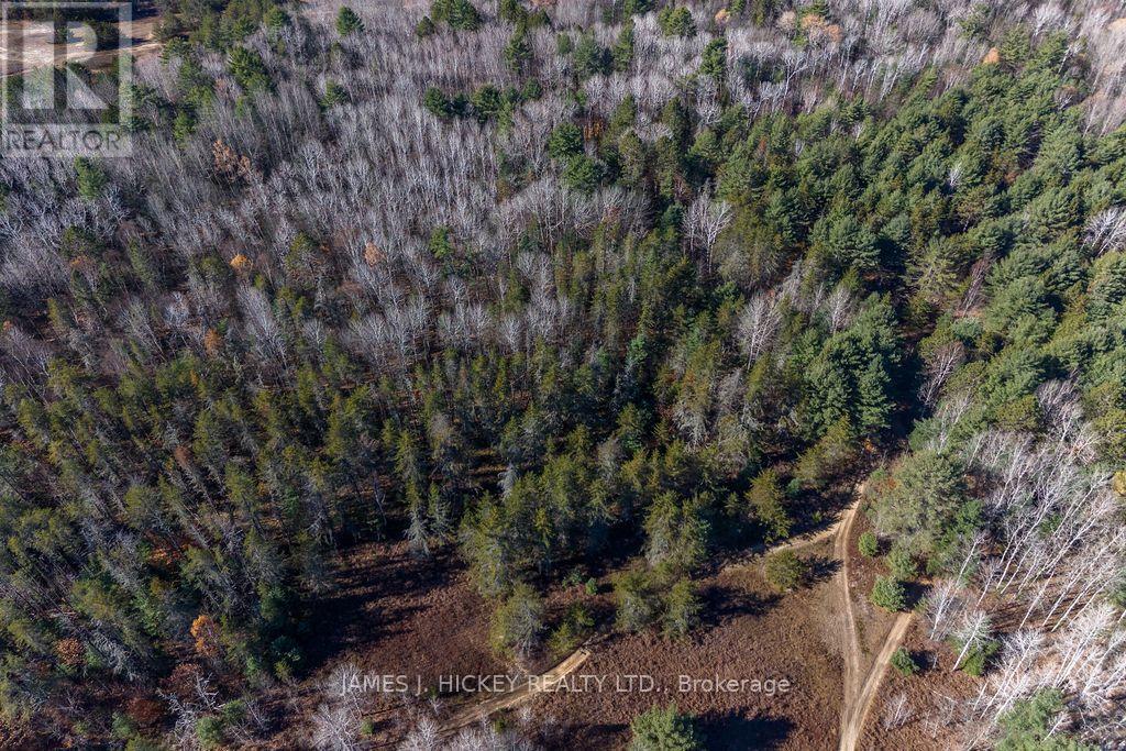 0 Dufferin Avenue, Laurentian Hills, Ontario  K0J 1P0 - Photo 12 - X14130352