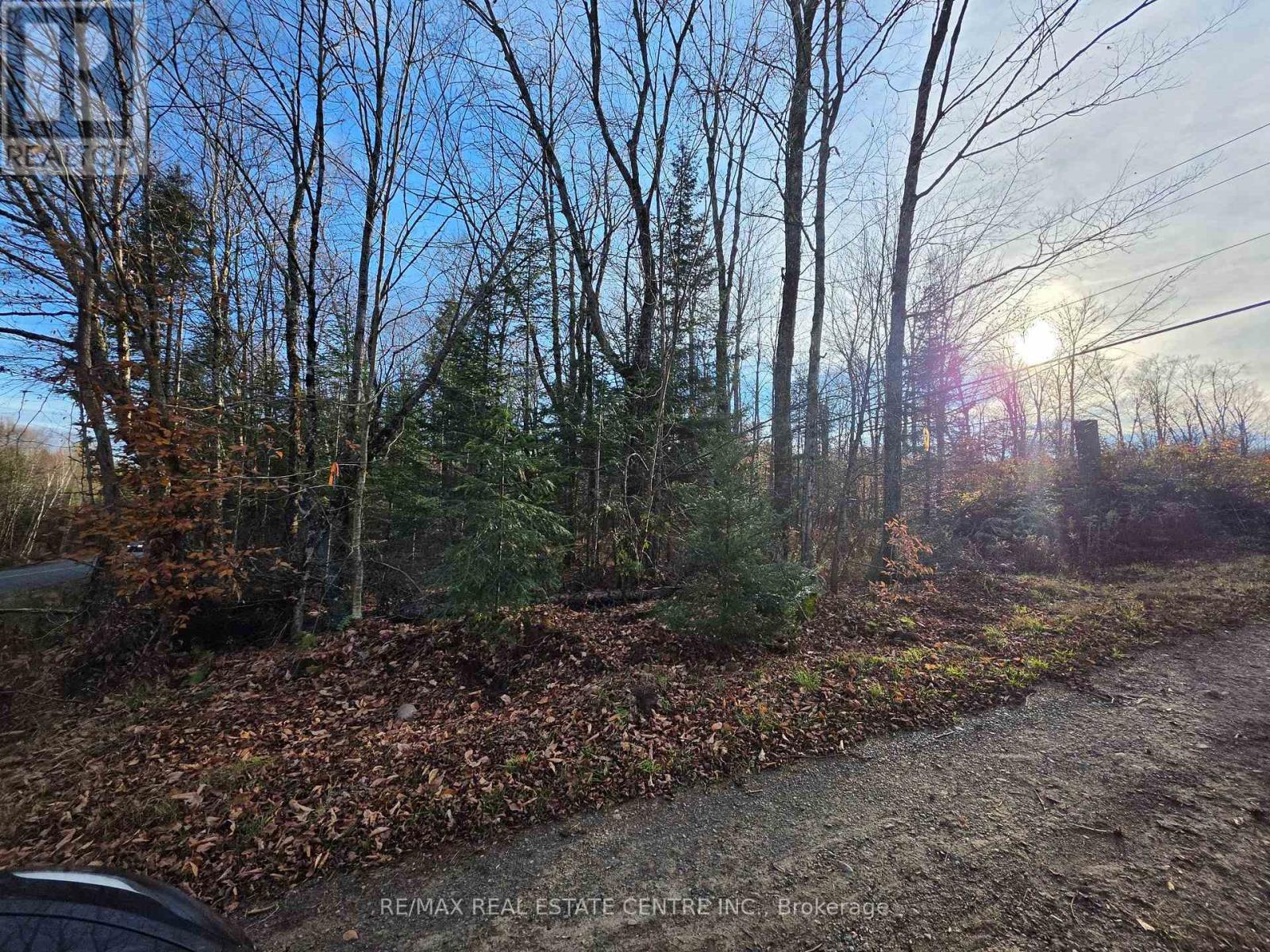 Lot 32 Plan 361 Road, Kearney, Ontario  P0A 1M0 - Photo 8 - X14130336