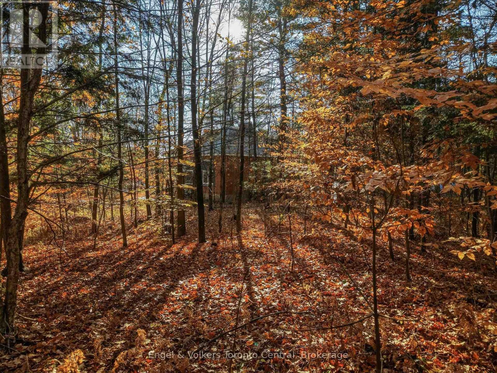 2026 Peninsula Road, Muskoka Lakes, Ontario P0B 1J0 - Photo 34 - X14130448