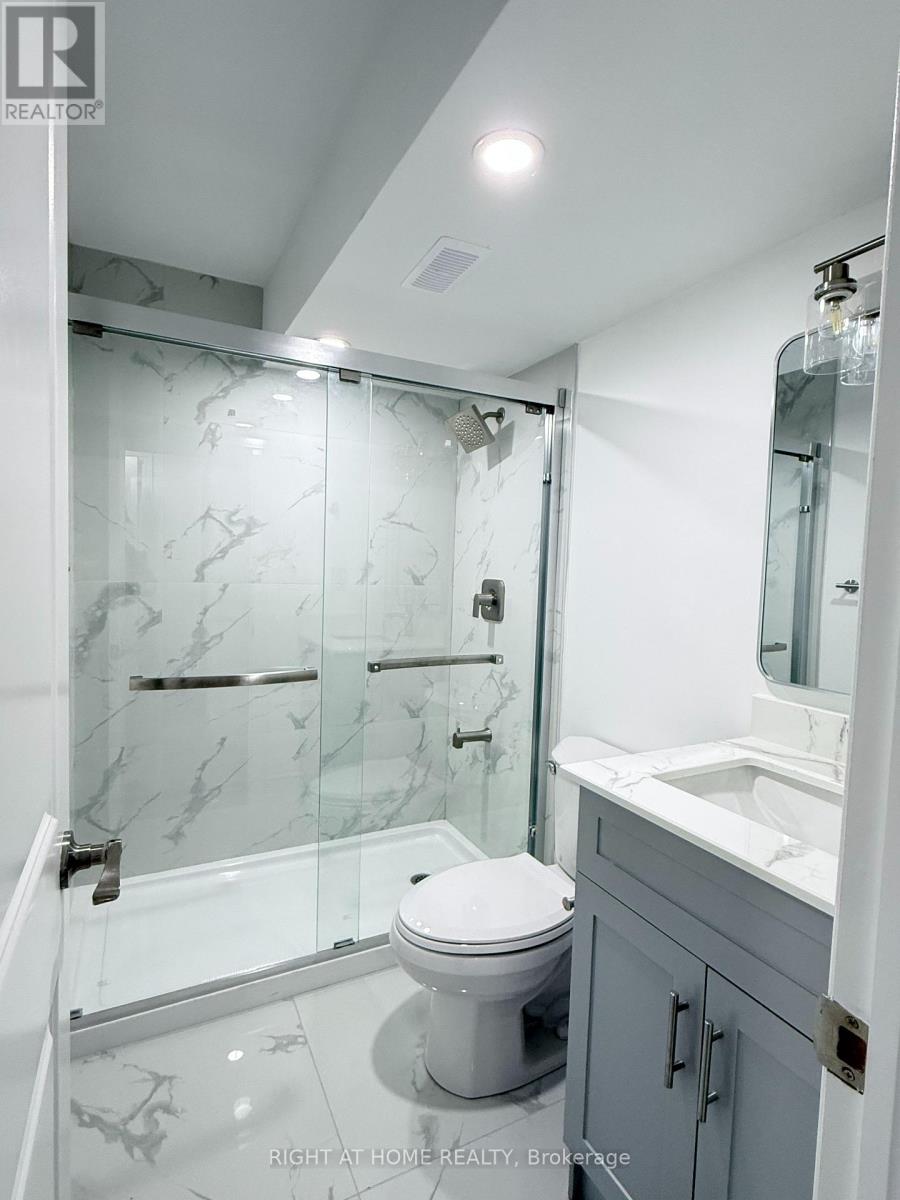 Basement - 42 Whistler Street, Hamilton, Ontario  L0P 1P0 - Photo 7 - X14124472