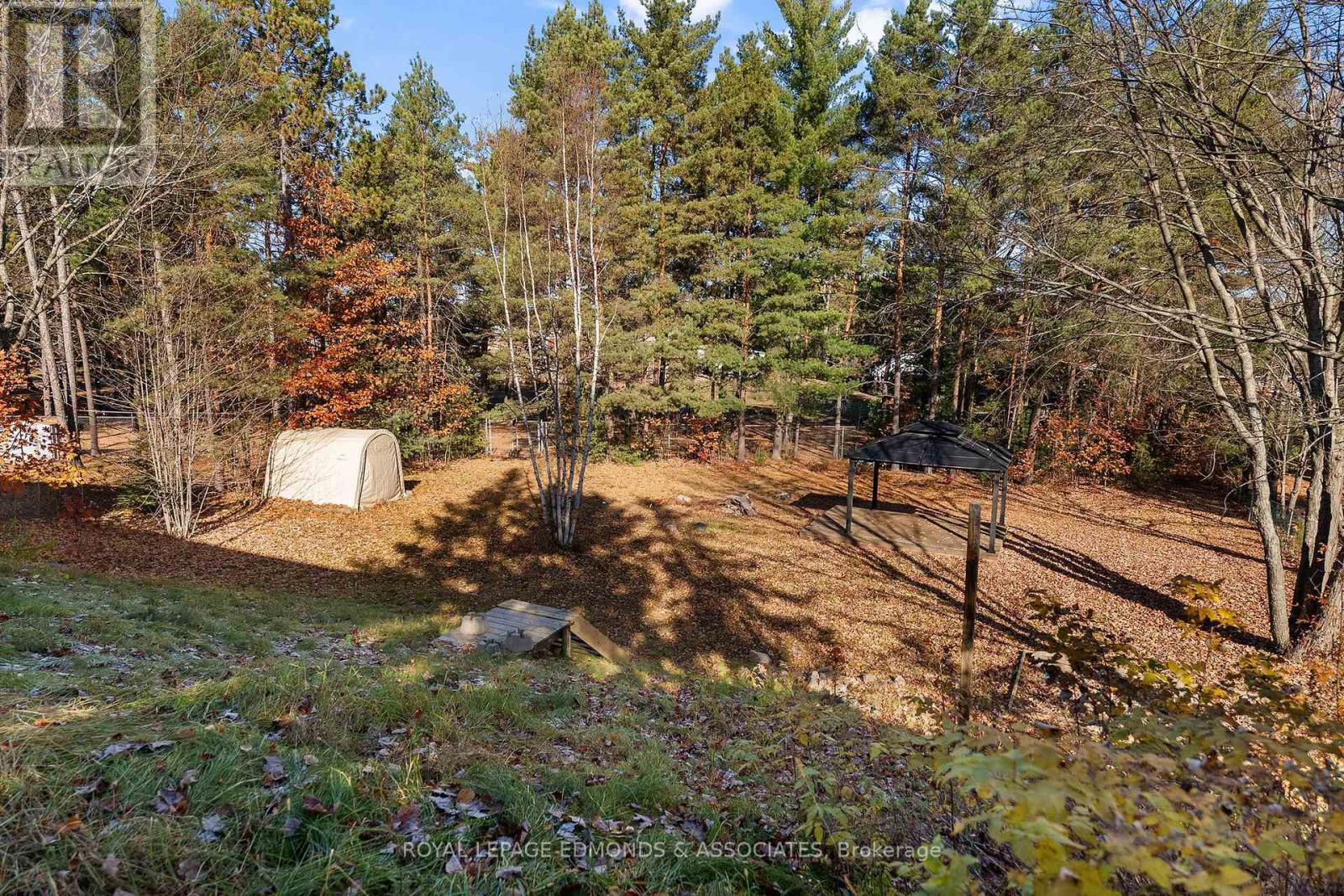22 Roy Street, Petawawa, Ontario  K8H 3A6 - Photo 43 - X14130614