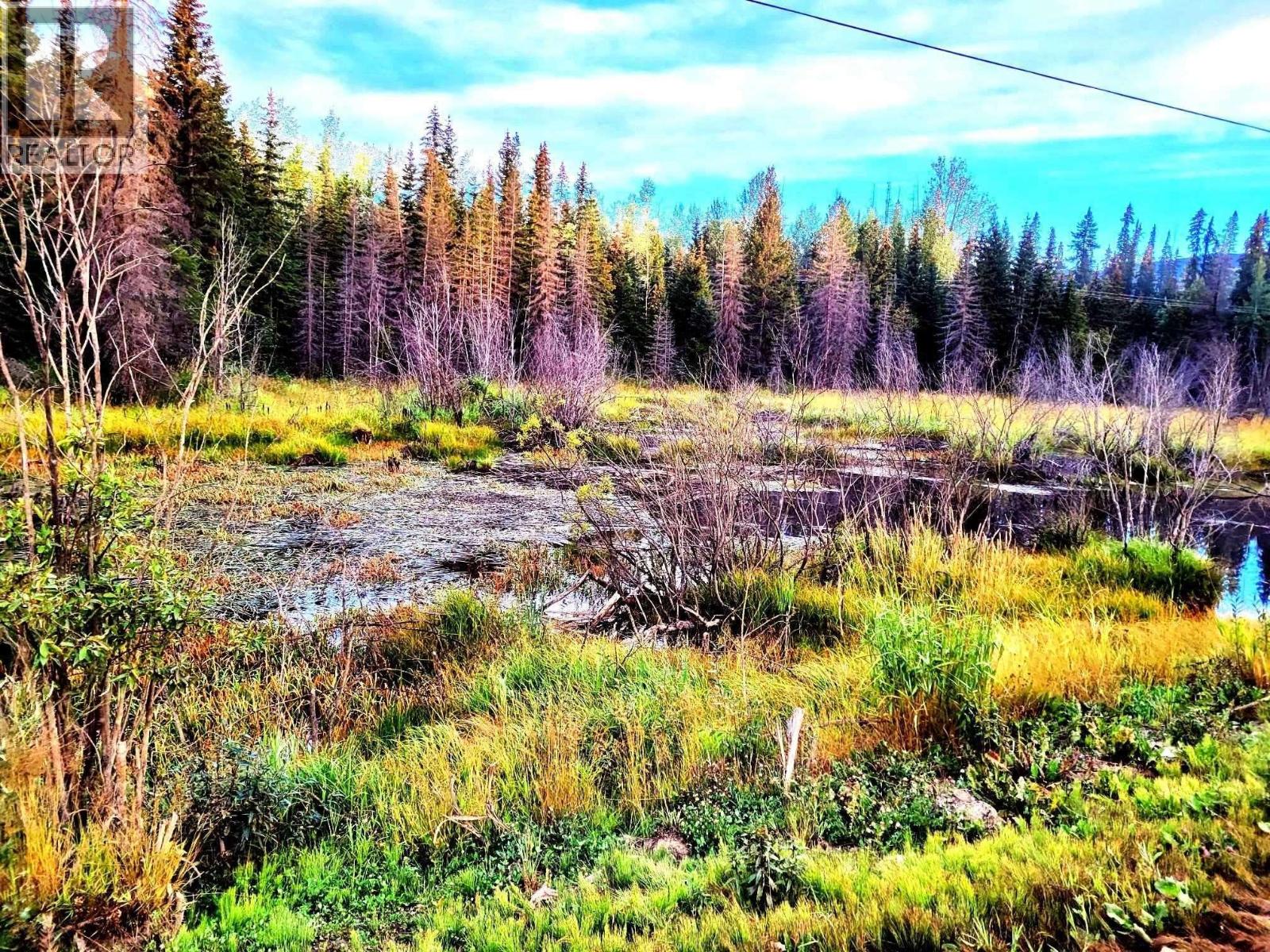 Dl 962 27 Highway, Fort St. James, British Columbia  V0J 1P0 - Photo 3 - R3179751