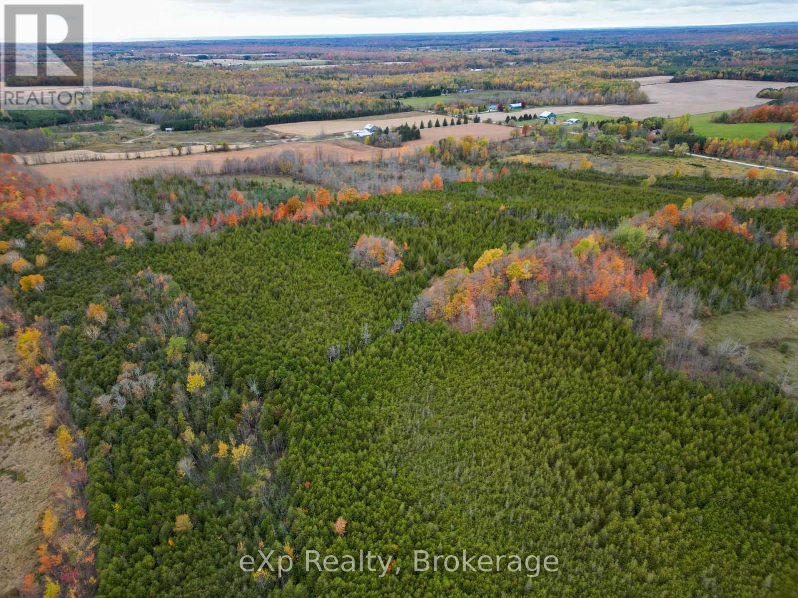 281140 Shouldice Block Road, Georgian Bluffs, Ontario  N0H 2K0 - Photo 9 - X14085442