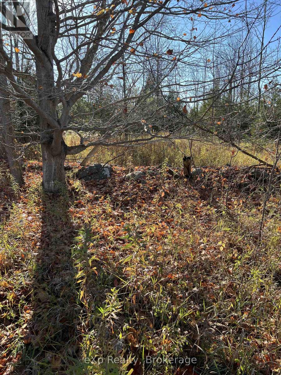 281140 Shouldice Block Road, Georgian Bluffs, Ontario  N0H 2K0 - Photo 5 - X14085442