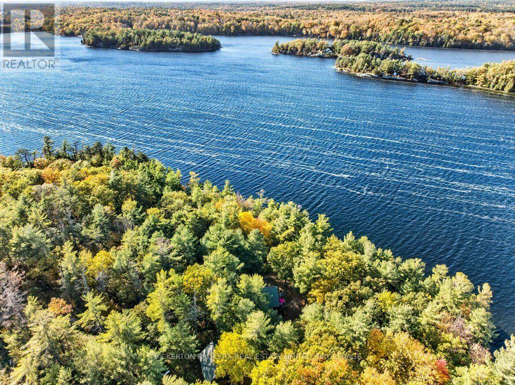 924 Blue Run Lane, Leeds And The Thousand Islands, Ontario  K0E 1L0 - Photo 10 - X14130664