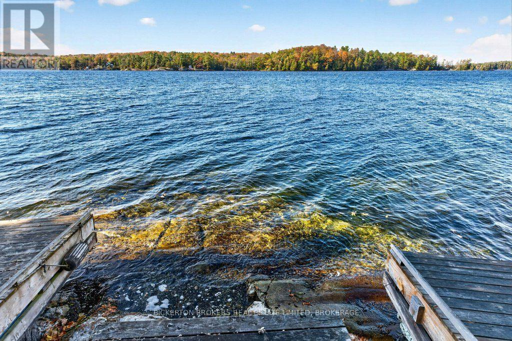 924 Blue Run Lane, Leeds And The Thousand Islands, Ontario  K0E 1L0 - Photo 16 - X14130664