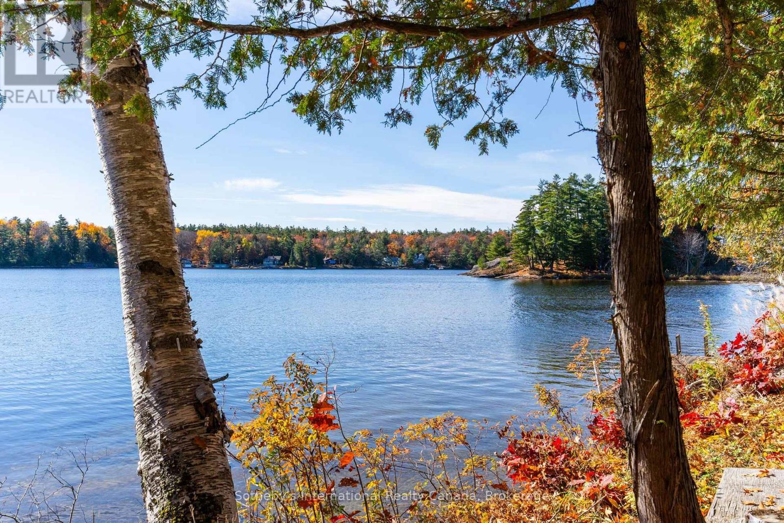 1088 Birch Point Road, Gravenhurst, Ontario  P1P 1R1 - Photo 8 - X14132482
