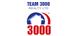 Team 3000 Realty Ltd