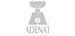 ADENAT REAL ESTATE LTD.